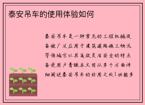 泰安吊车的使用体验如何