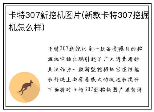 卡特307新挖机图片(新款卡特307挖掘机怎么样)